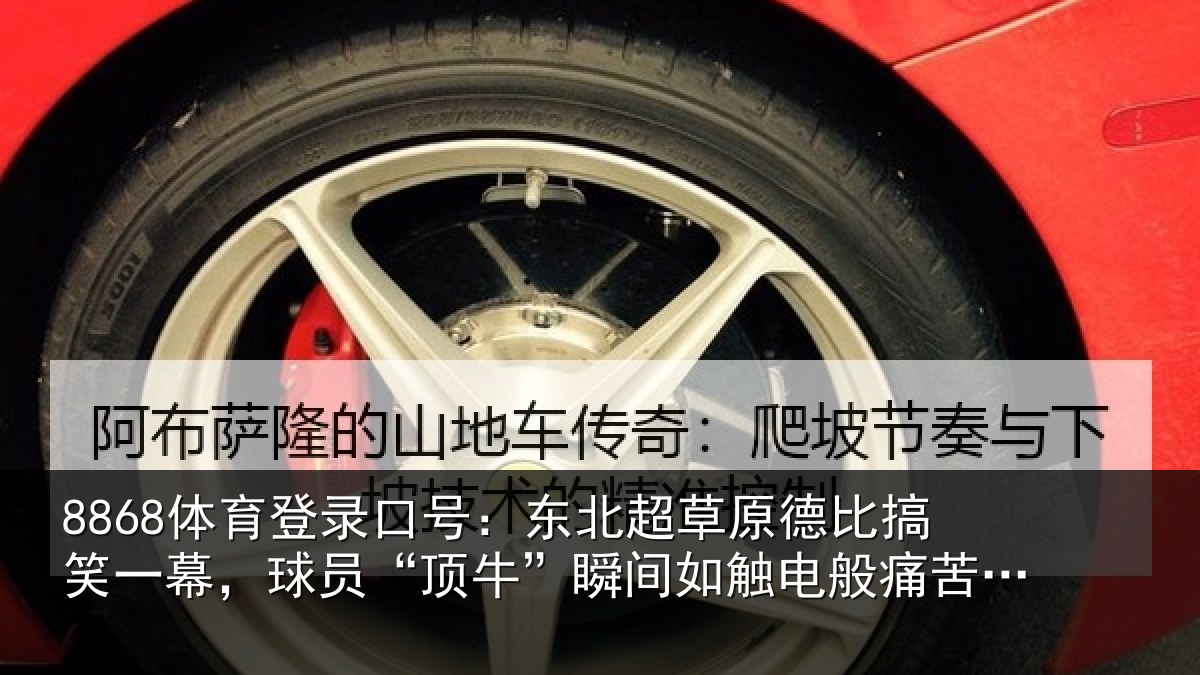 8868体育登录口号：东北相关情况幕球相关情况般痛苦倒地
